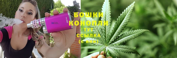 сатива Баксан