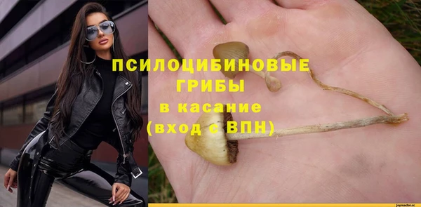 сатива Баксан