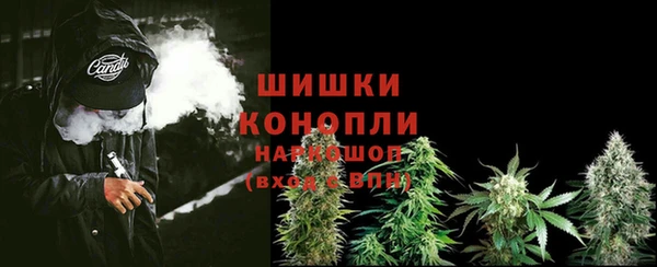 молекула духа Балабаново