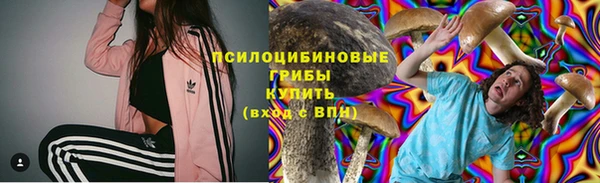 сатива Баксан